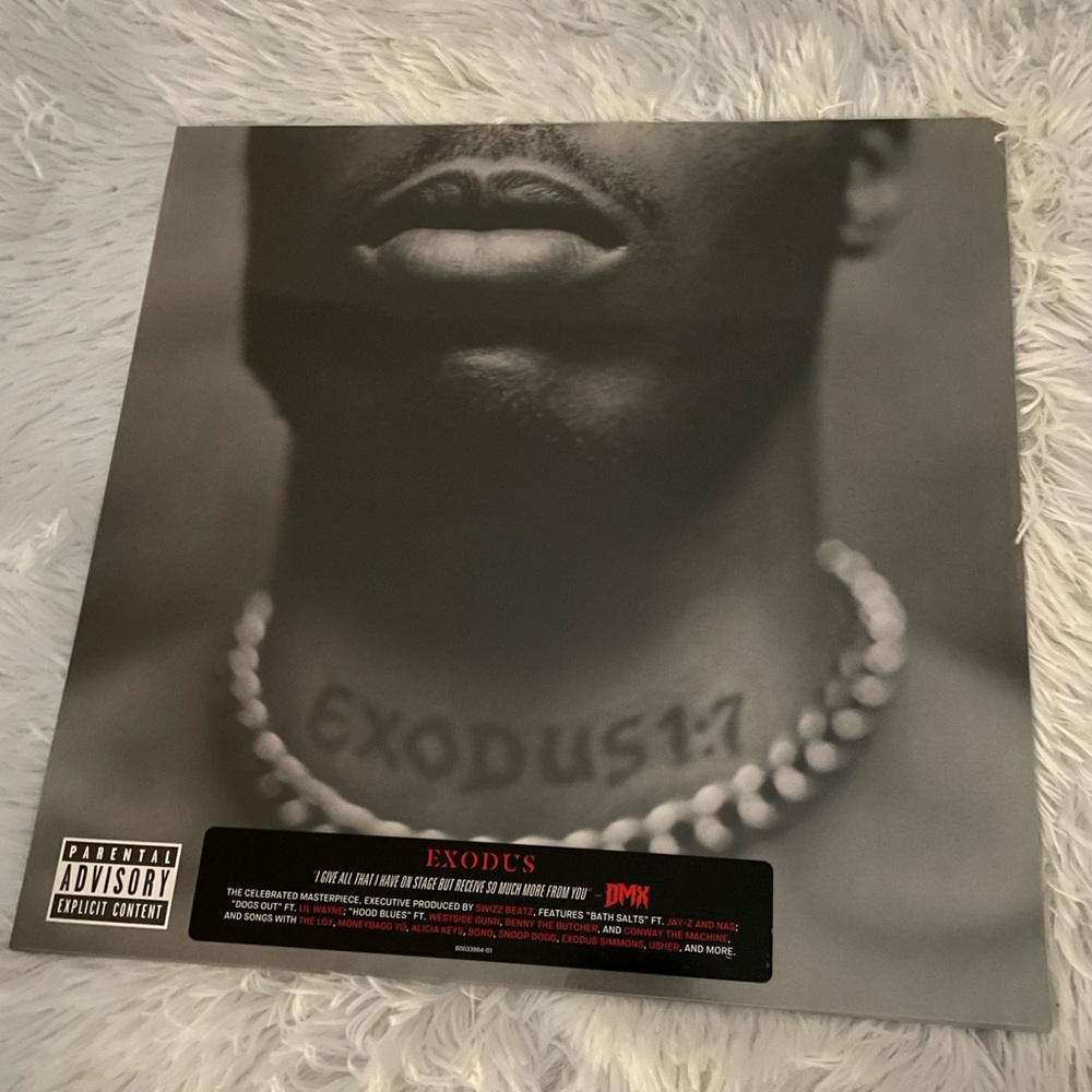 DMX Exodus vinyl record